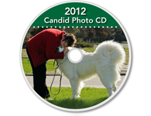 2012-CD-Great-Pyrenees-Club-of-Americas-National-Specialty-Photos-by-GoldFish-Communications-Debra-Fisher-Goldstein-MN