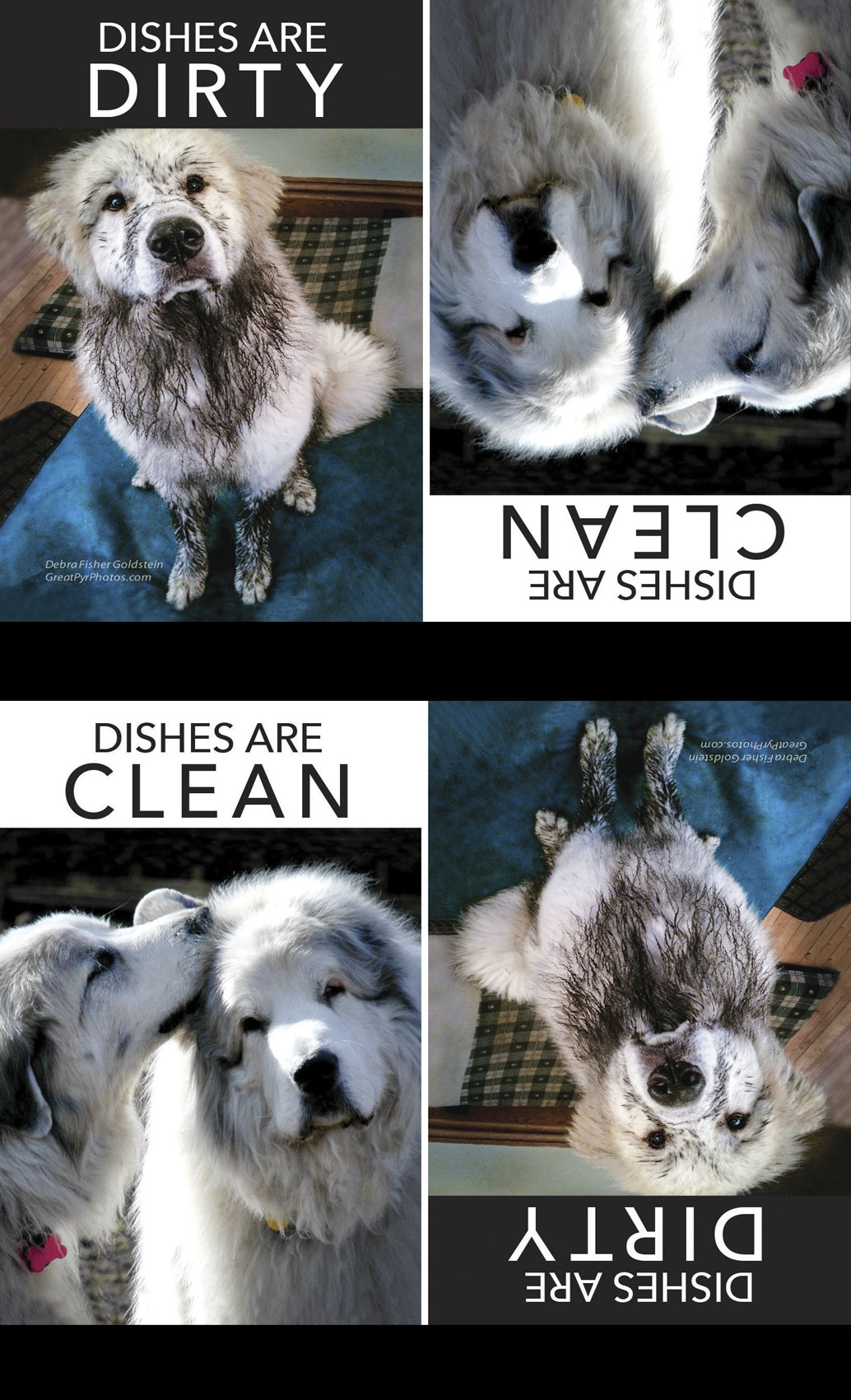 Dishes-are-clean-magnet