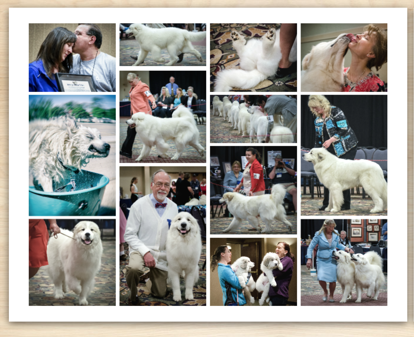 2 -The Great Pyr-sized Topeka National Photo Calendar