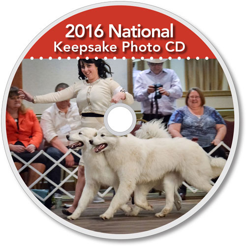 The-Matamoras-National-Specialty-Great-Pyr-Sized-Photo-CD