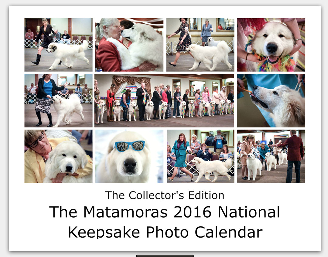 The-Matamoras-National-Specialty-Great-Pyr-Sized-Photo-Calendar