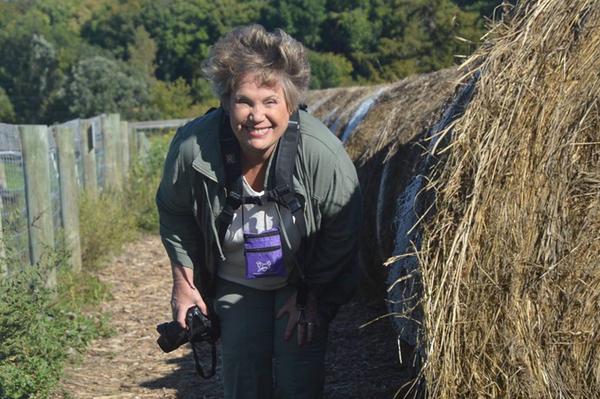 Gale Woods Farm, Minnetrista, MN, 2014, Debra Fisher Goldstein