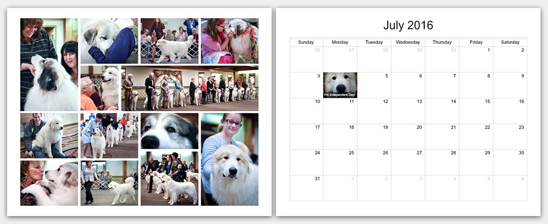 p1-The-Matamoras-National-Specialty-Great-Pyr-Sized-Photo-Calendar