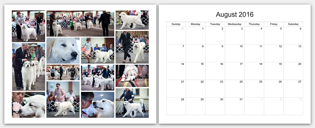 p2-The-Matamoras-National-Specialty-Great-Pyr-Sized-Photo-Calendar