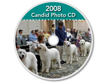 2008-CD-Great-Pyrenees-Club-of-Americas-National-Specialty-Photos-by-GoldFish-Communications-Debra-Fisher-Goldstein-MN
