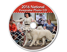 The-Matamoras-National-Specialty-Great-Pyr-Sized-Photo-CD-Thumb