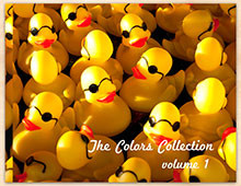Thumb-Overcrowded-Midway-The-Colors-Collection-Volume-1-by-Debra-Fisher-Goldstein